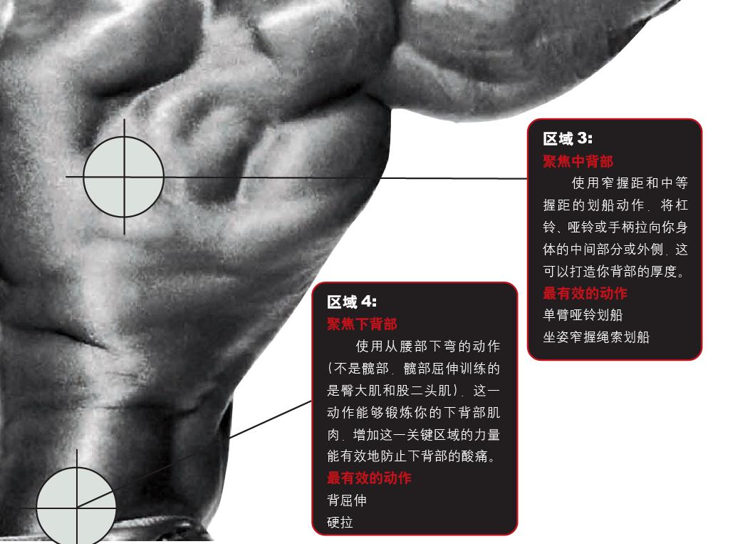 67a17a1c67de299c86d6b60a.jpg