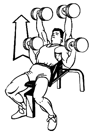 dumbell_incline_press_.jpg