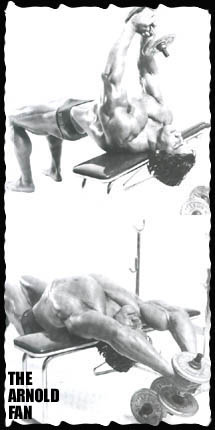 arnoldchest5.jpg