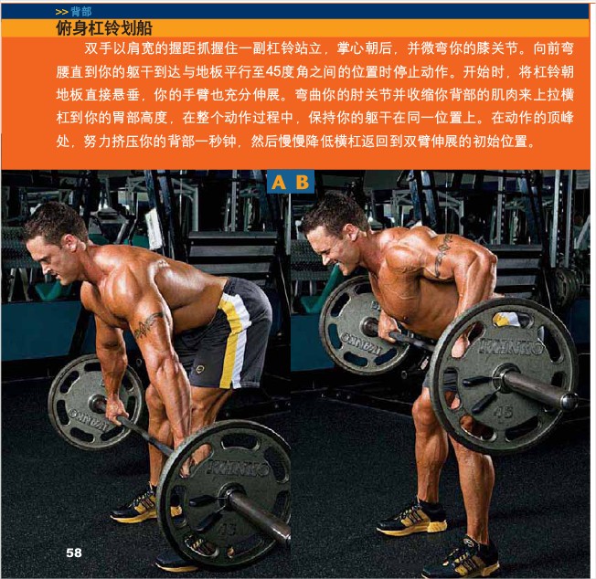 俯身杠铃划船.jpg