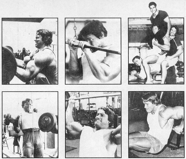 arnold_schwarzenegger_5.jpg