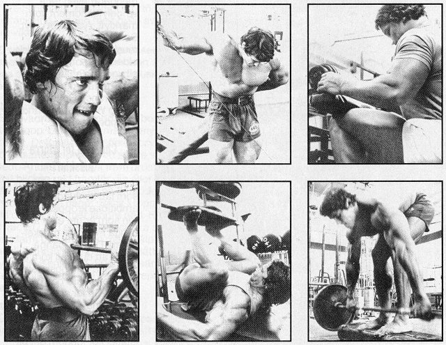 arnold_schwarzenegger_3.jpg