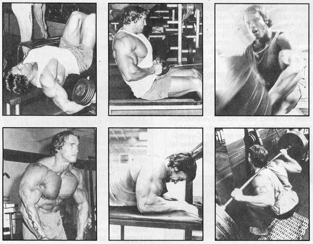 arnold_schwarzenegger_4.jpg