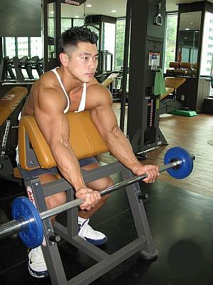 弯举.jpg