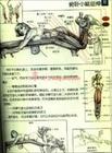 腿弯举.jpg