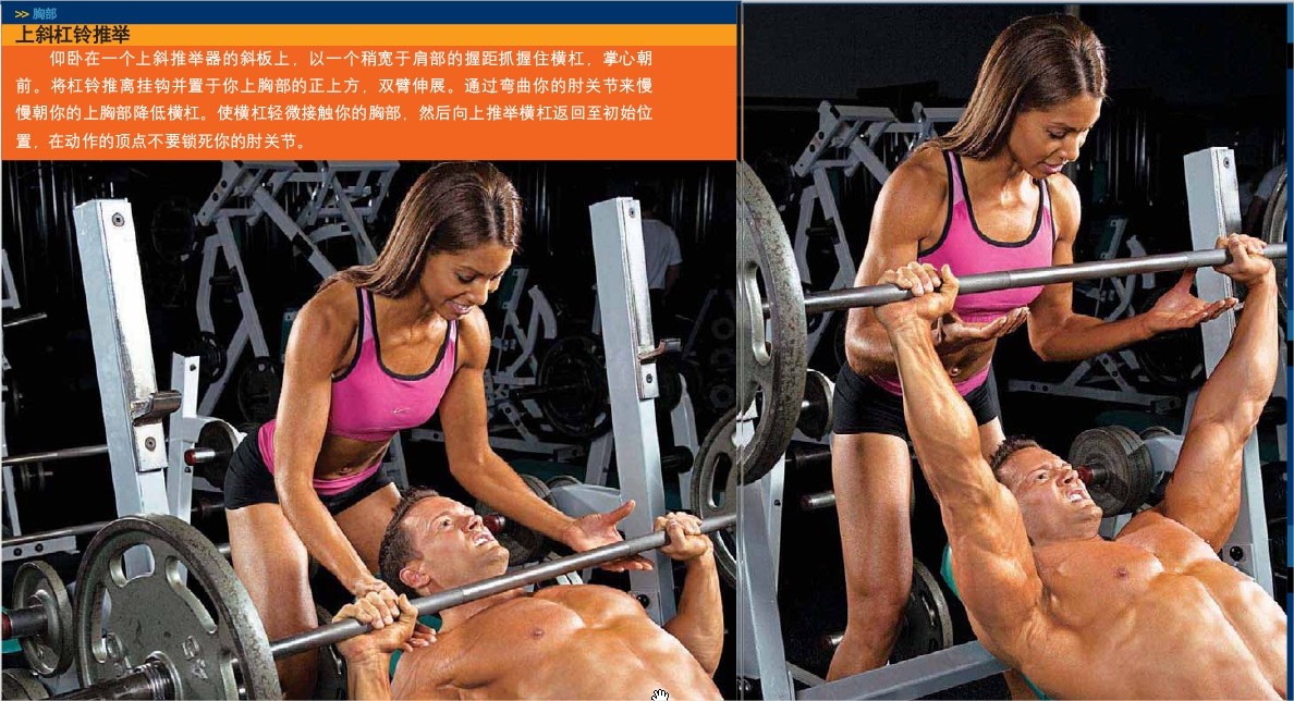 bedc264ee62bd6c5d72afce3.jpg