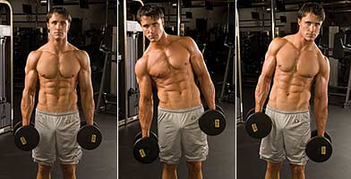 1008131304d7d2a53e43be943d.jpg