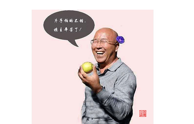 5c68cf3073a65159eac4af86.gif