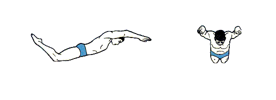 蝶泳.gif