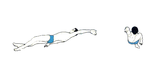 仰泳.gif