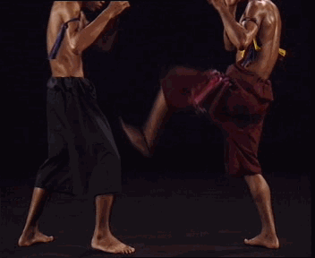 161ba61239b3b1d6c3fd7817.gif