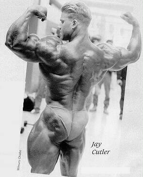 jay12.jpg