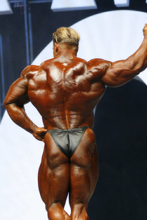 2006olympia_mf250.jpg