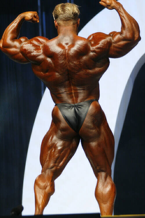 2006olympia_mf249.jpg