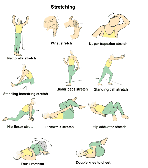 bodybuilding-workout-stretches1.jpg