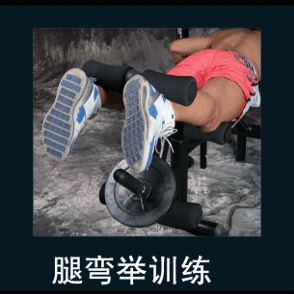 腿弯举.gif