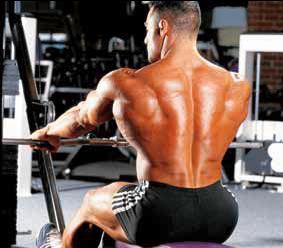 wide-grip_seated_cable_row_1.jpg