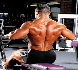 wide-grip_seated_cable_row_2.jpg