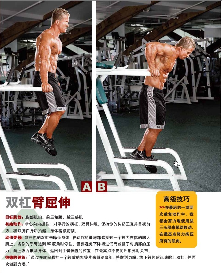 双杠臂屈伸.jpg