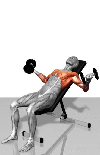 d7d254a31aaf4d8dcbefd086.gif