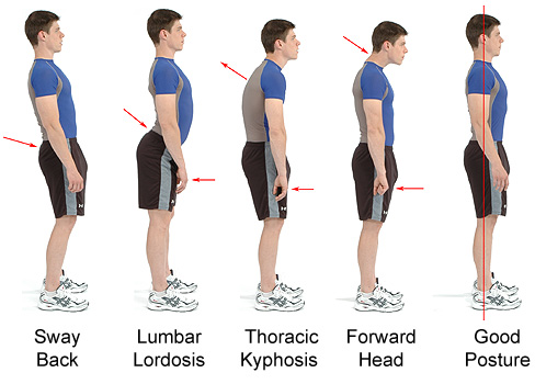 postures.jpg