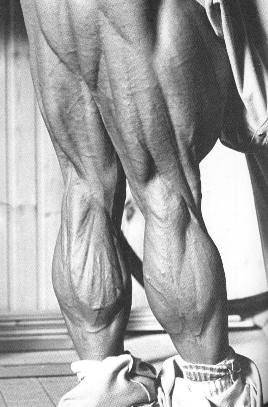 汤姆 普拉兹.jpg