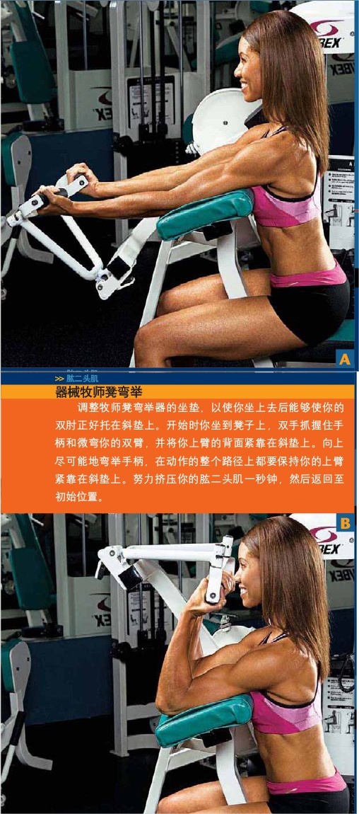 器械牧师凳弯举.jpg