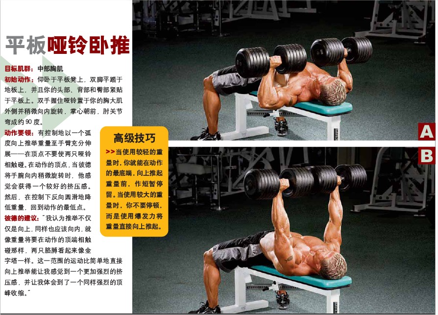 哑铃卧推.jpg