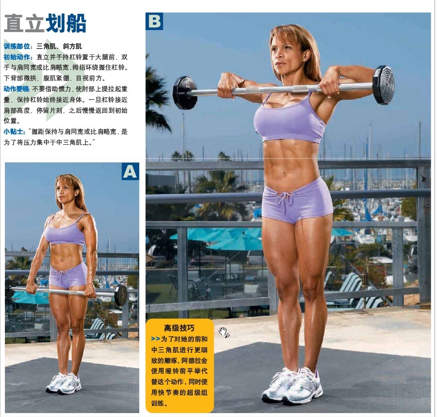 直立划船.jpg
