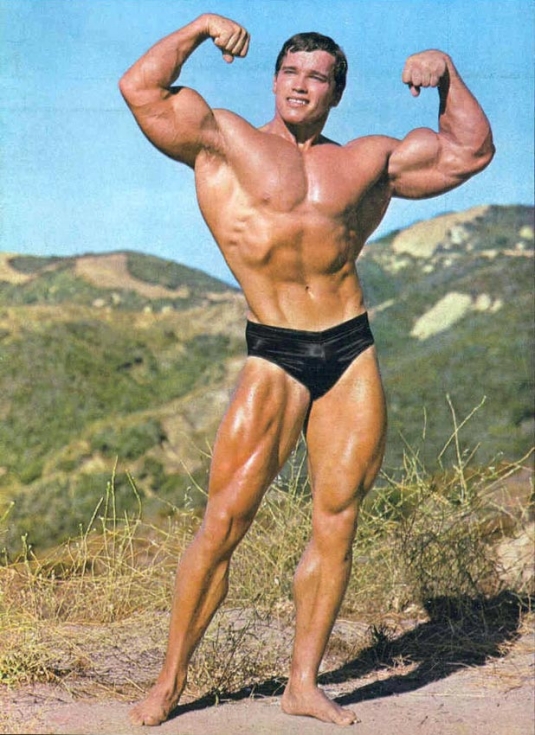 Arnold Schwarzenegger.jpg