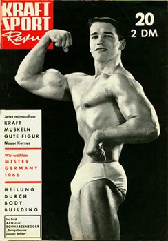 arn18.jpg