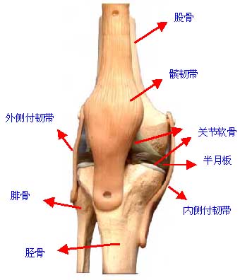 2009312132730133.jpg