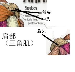 e8151b7a6eb183fe2e73b343.jpg