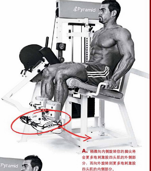腿屈伸.jpg