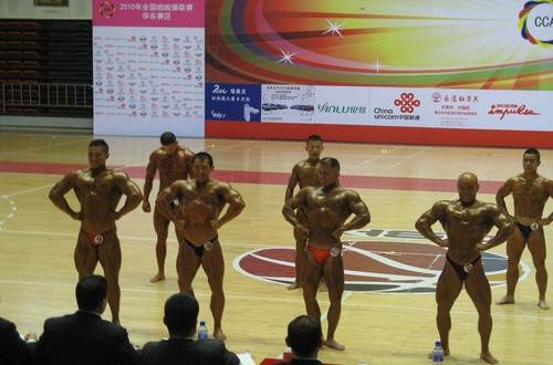 15.jpg