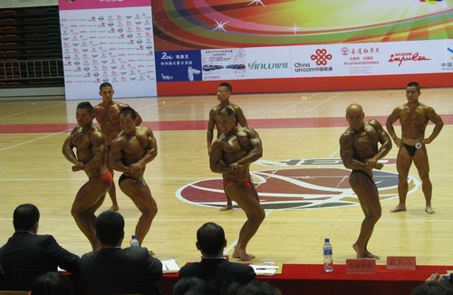 16.jpg