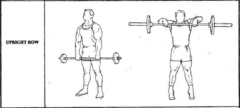 upright_row.gif