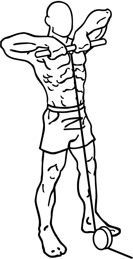 cable-upright-rows-1.png