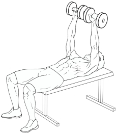 dumbbellbenchpresstop.jpg