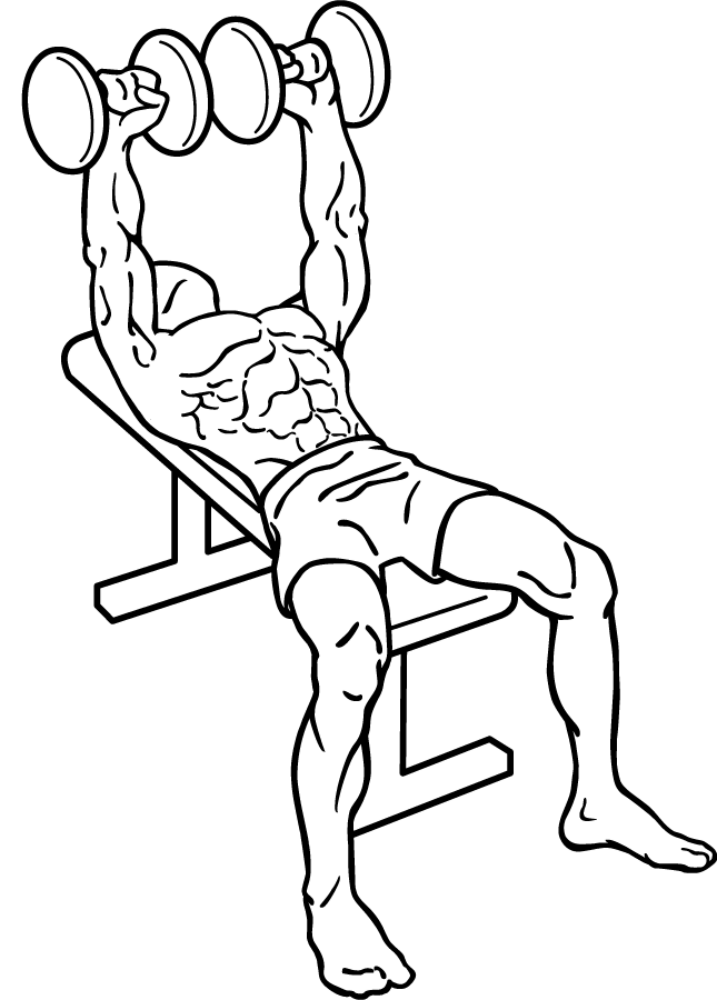 dumbbell-bench-press-1.png