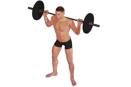 squat_ani.gif