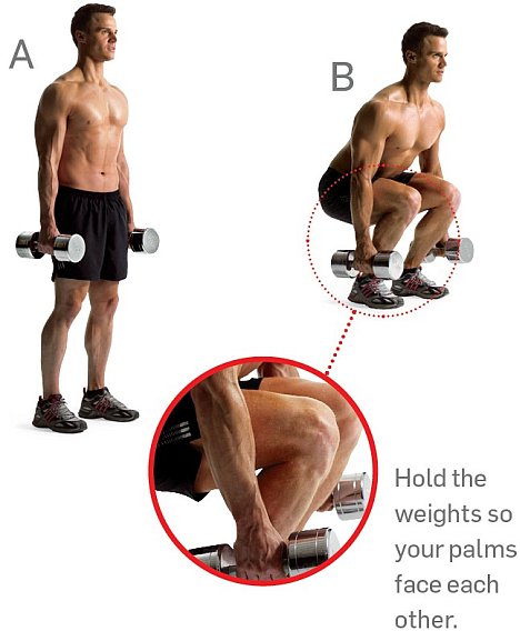 Dumbbell squat.jpg