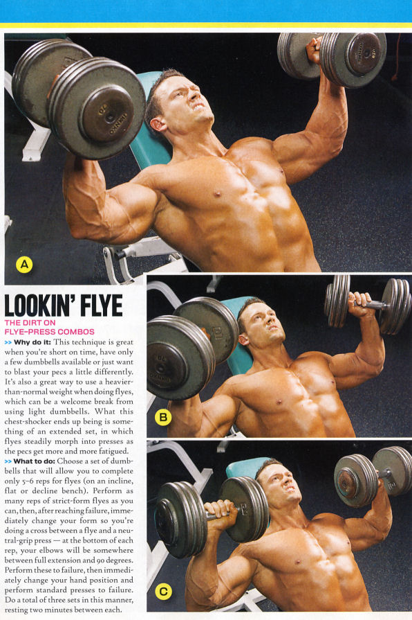 chestshockers6.jpg