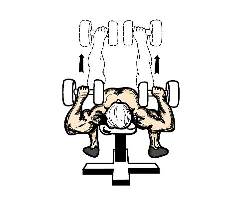 dumbell_press.jpg
