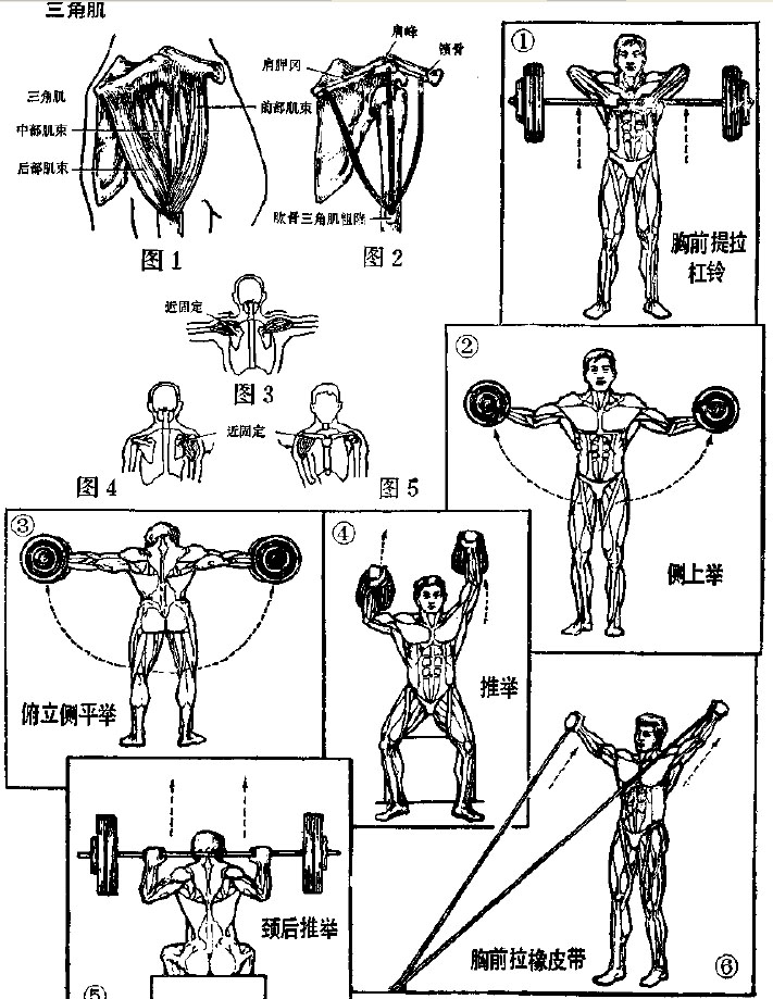 1011290925a1fbe0706e293e02.jpg